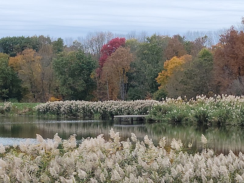 Rosedale Lake Parking Area: Lawrence Hopewell Trail - Pennington, NJ
