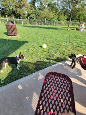 Rosedale Park