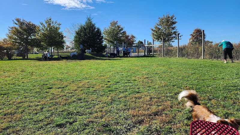 Rosedale Dog Park - Pennington,