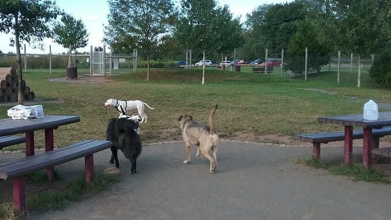 Rosedale Dog Park - Pennington,
