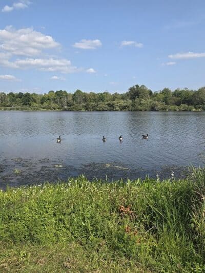 Rosedale Dog Park - Pennington,