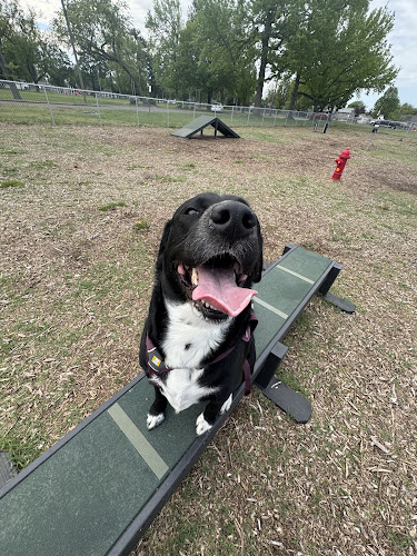 Sarah’s Heart Dog Park