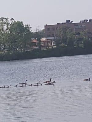 Cooper River Park