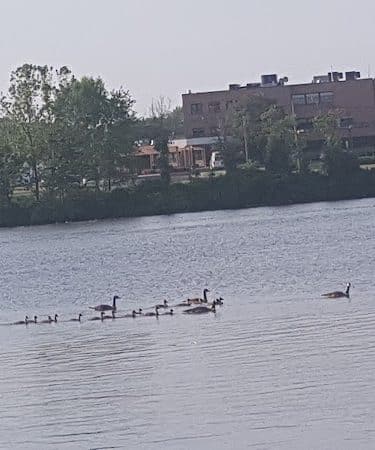 Cooper River Park