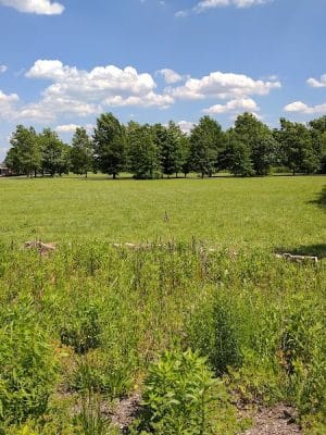 Gateway Park