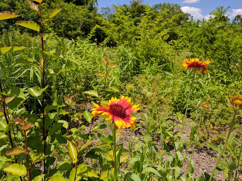 Gateway Park - Pennsauken, NJ