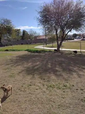 Alta Vista Park Off-leash Dog Park