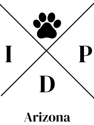 Indoor Dog Park - Arizona