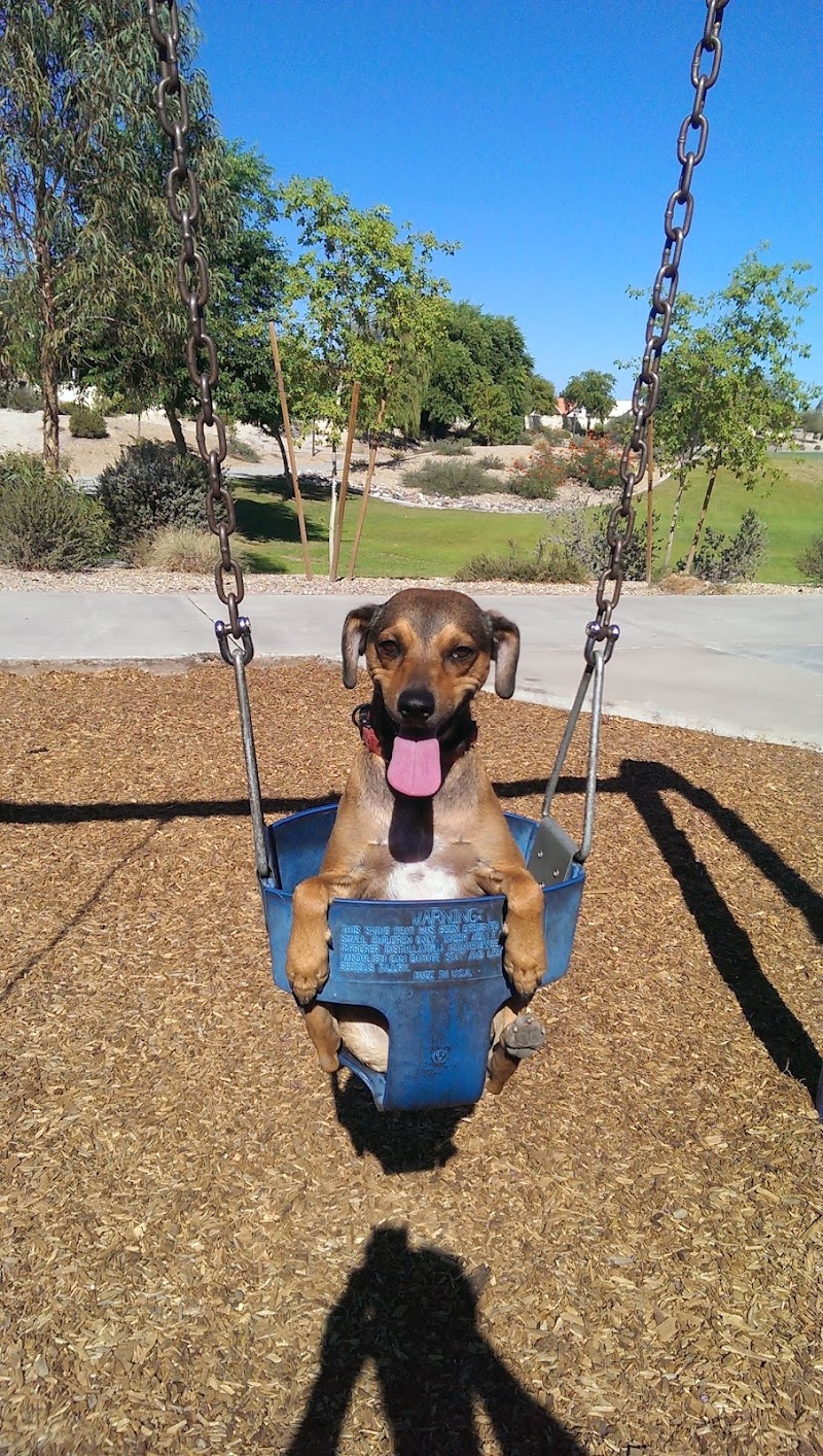 Parkridge Park Dog Park - Peoria, AZ
