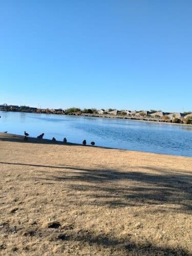Pioneer Community Park: Dog Park
