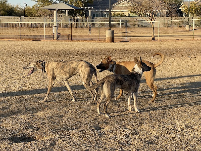Pioneer Community Park: Dog Park - Peoria, AZ