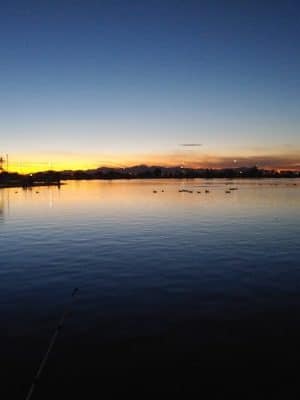 Pioneer Community Park: Dog Park