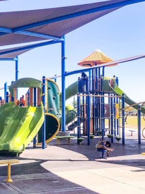 Pioneer Community Park: Dog Park