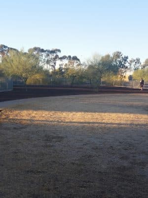 Scotland Yard Dog Park
