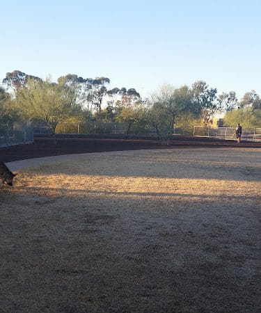 Scotland Yard Dog Park