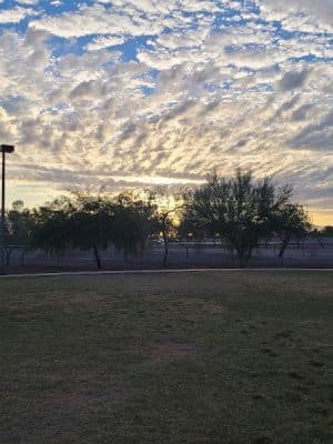 Scotland Yard Dog Park