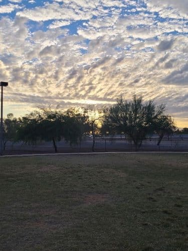Scotland Yard Dog Park