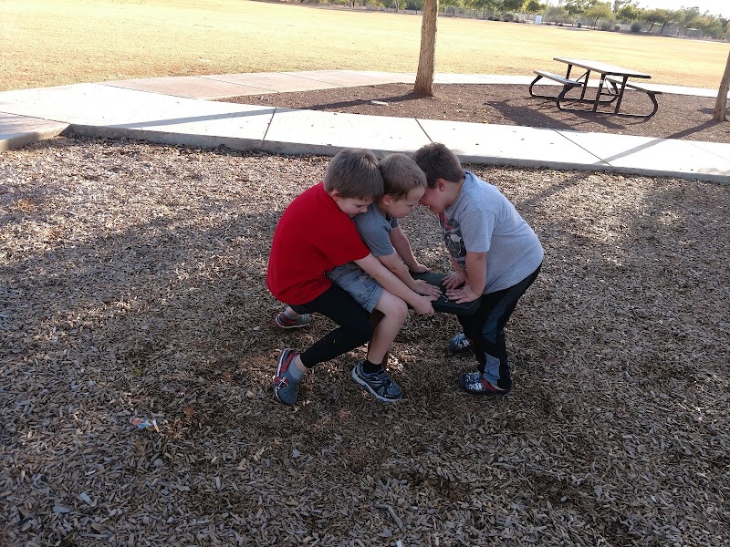 Scotland Yard Dog Park - Peoria, AZ