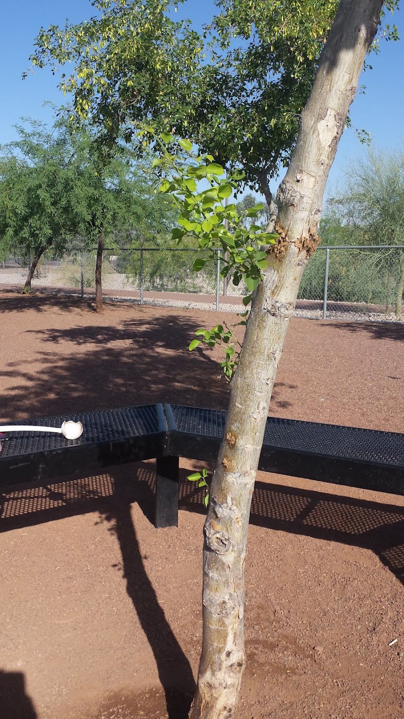 Scotland Yard Dog Park - Peoria, AZ