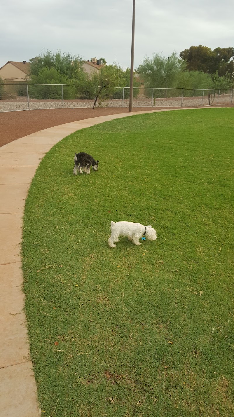 Scotland Yard Dog Park - Peoria, AZ