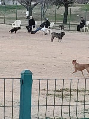 Sunnyslope Dog Park