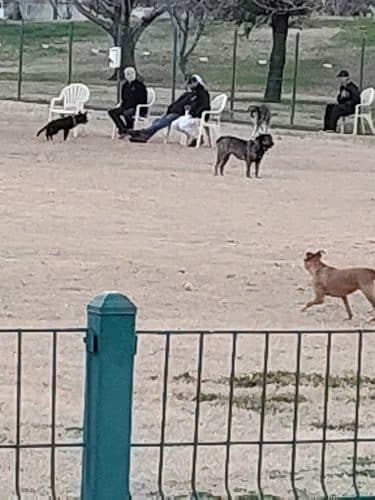 Sunnyslope Dog Park
