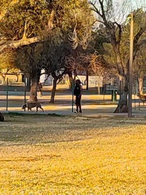 Sunnyslope Dog Park