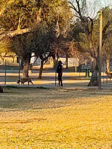 Sunnyslope Dog Park
