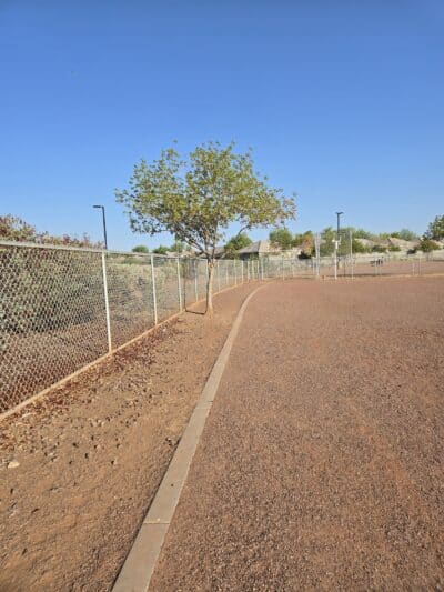 Pioneer Community Park: Dog Park - Peoria, AZ
