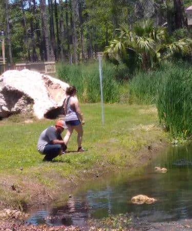 Angel's Dog Park