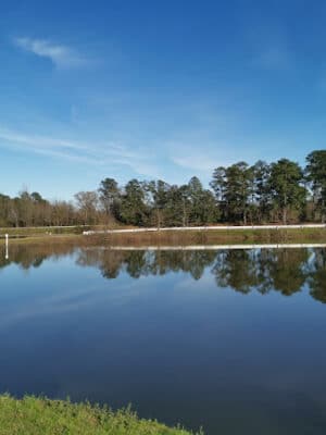 Rozar Park