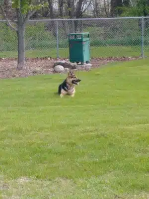 Perry Dog Park - Perry, IA