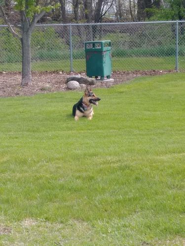 Perry Dog Park - Perry, IA