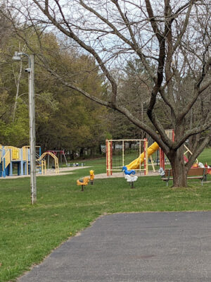 Woodhull Twp Park