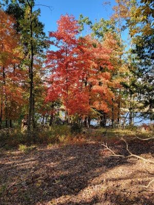 Ray Behrens Recreation Area