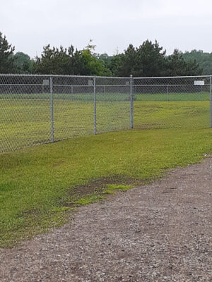 TOP Dog Park
