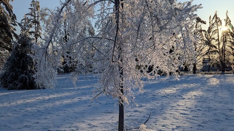 Curtis Park - Petoskey, MI