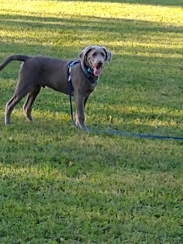 Curtis Park