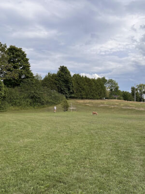 Washington Park