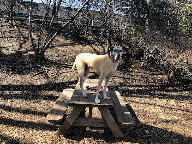 Tucker Dog Park - Philadelphia, PA