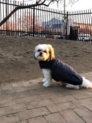 Tucker Dog Park