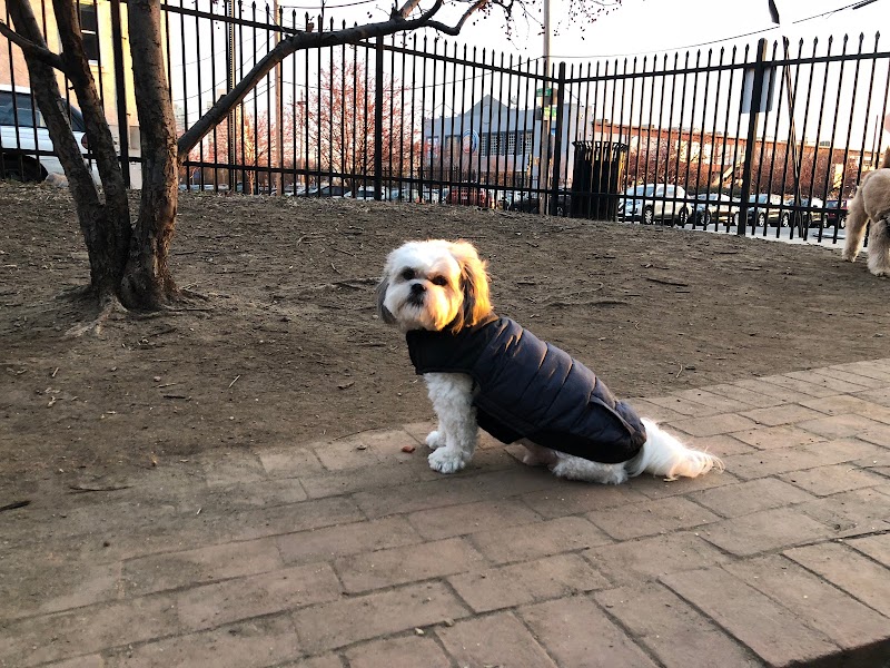 Tucker Dog Park - Philadelphia, PA