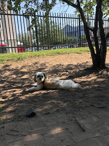 Tucker Dog Park
