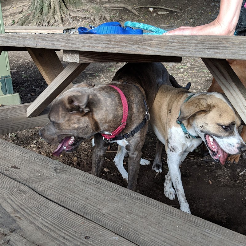 Tucker Dog Park - Philadelphia, PA