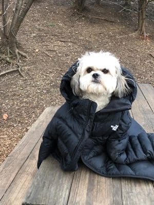 Tucker Dog Park