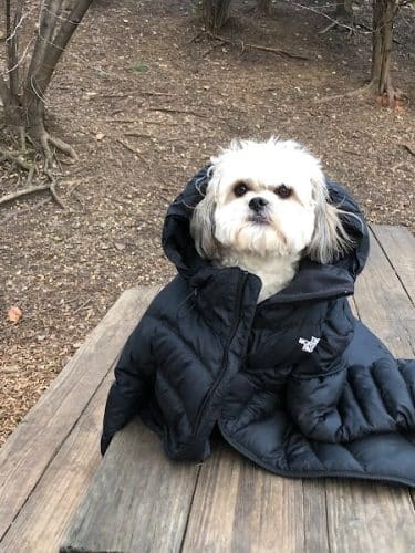 Tucker Dog Park