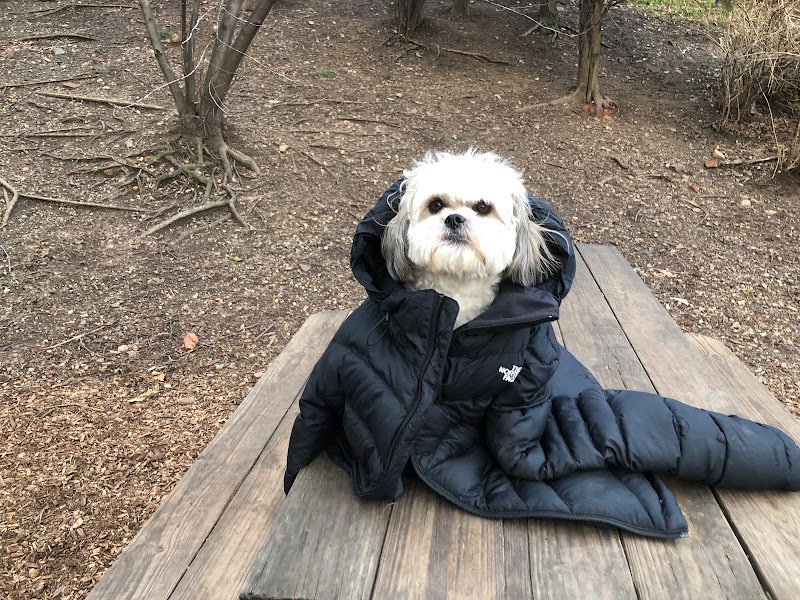 Tucker Dog Park - Philadelphia, PA