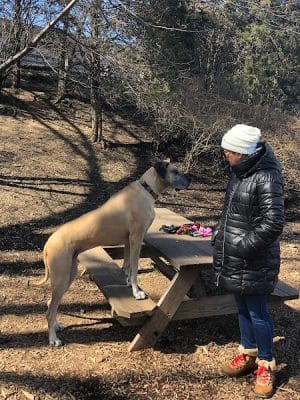 Tucker Dog Park