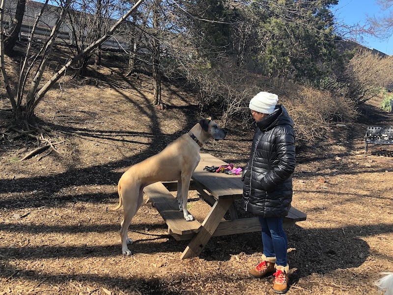 Tucker Dog Park - Philadelphia, PA