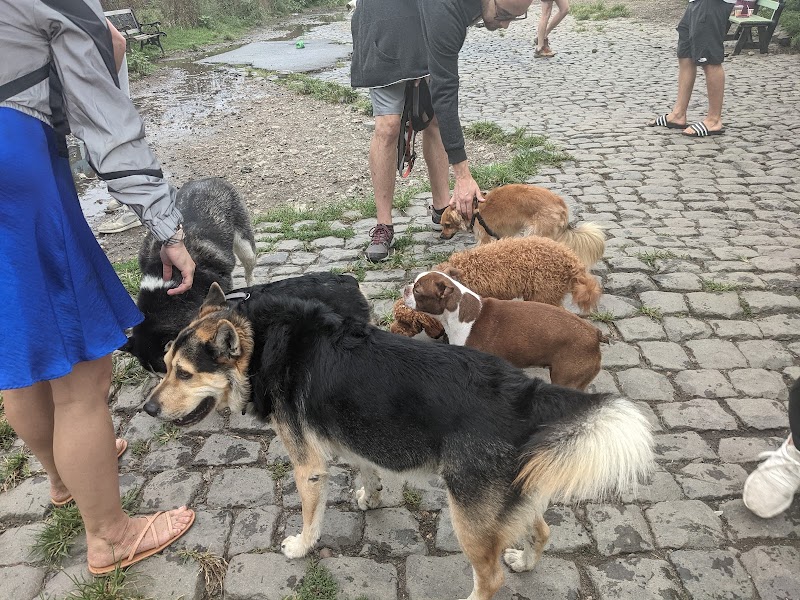 Palmer Doggie Depot - Philadelphia, PA